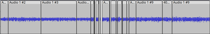 Screenshot of a waveform in Audacity. The size of the waveform, i.e. the amplitude, is fairly even throughout the track.