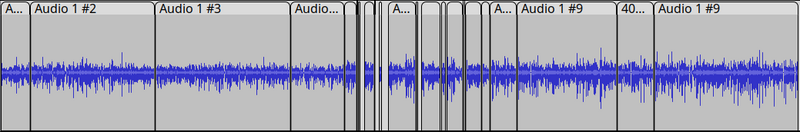 Screenshot of a waveform in Audacity. The size of the waveform, i.e. the amplitude, varies considerably in different parts of the recording.